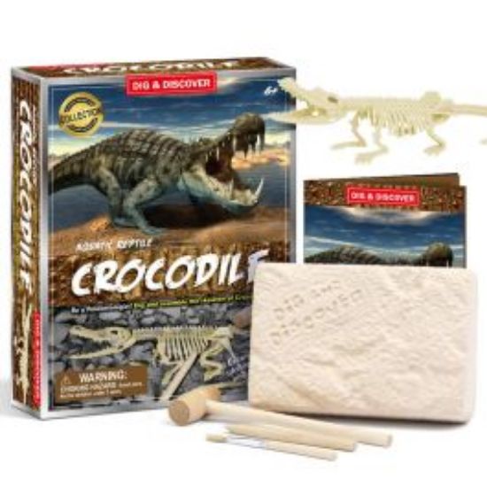 Picture of Crocodile Dig Kits
