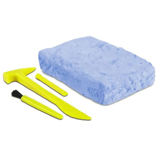 Picture of Ichthyosaur Dig Kits