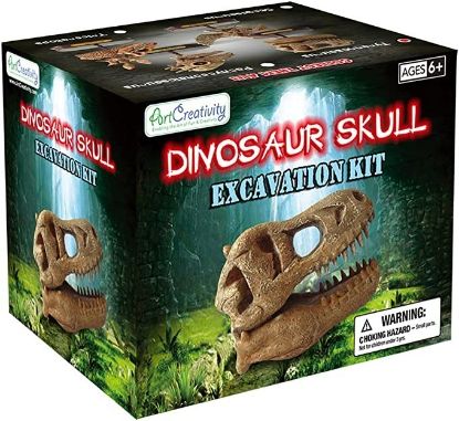 Picture of Dinosaur Skull Excavation Kit, 4 assorted