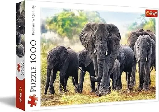Picture of Puzzle trefl 1000 pcs