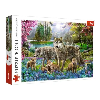 Picture of Puzzle trefl 1000 pcs