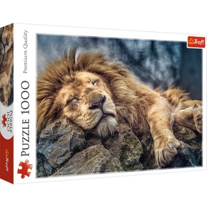 Picture of Puzzle trefl 1000 pcs