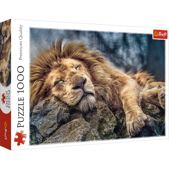 Picture of Puzzle trefl 1000 pcs
